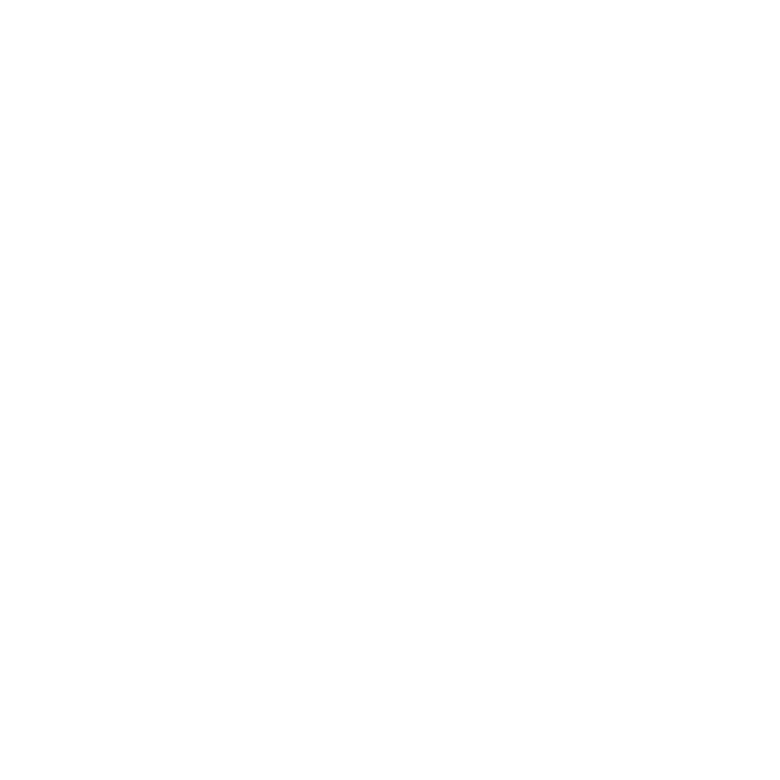 Jordyn Stewart's Professional Portfolio